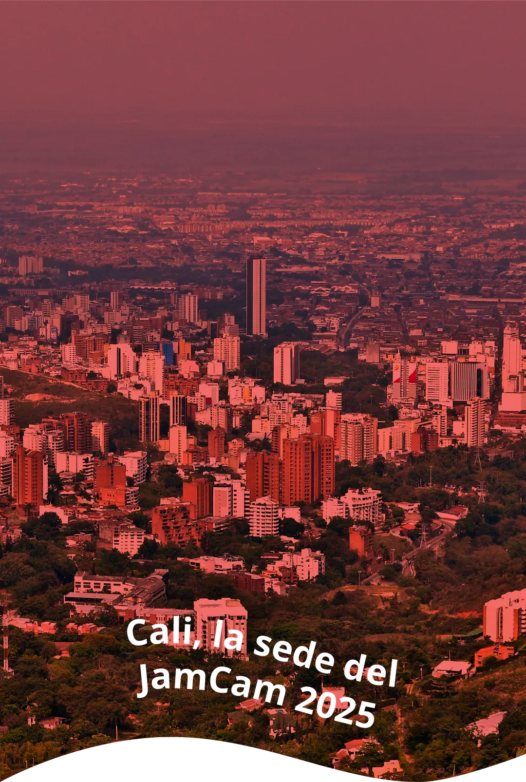 Banner JamCam 2025